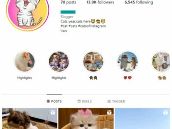 13K Cute Cats Instagram Account for sale