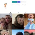 160K Monkey Wildlife Instagram Account for Sale