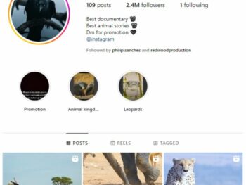 2.4M Wildlife Animals Instagram Account for sale