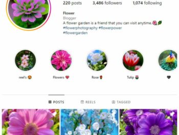 3K Flowers Garden Instagram Account for sale
