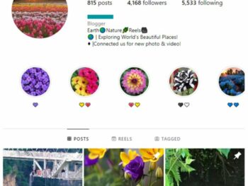 4K Beautiful Flowers Instagram Account for sale