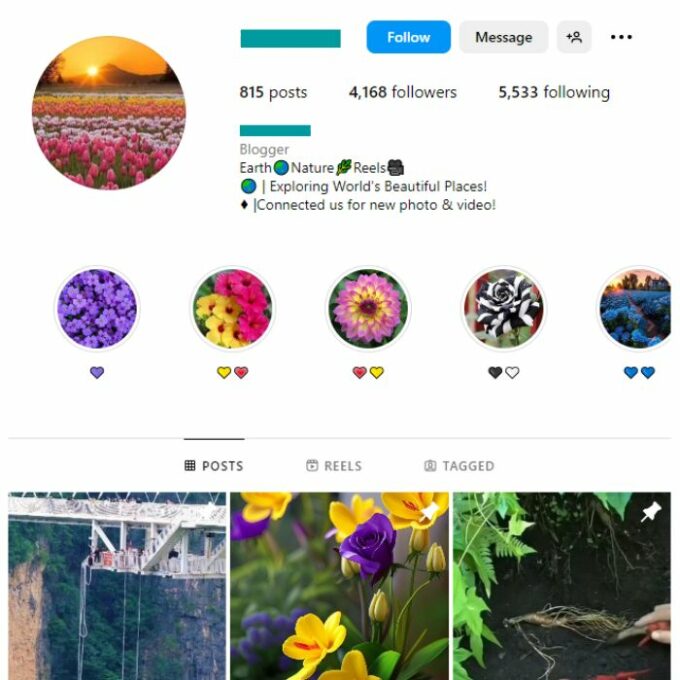 4K Beautiful Flowers Instagram Account for sale