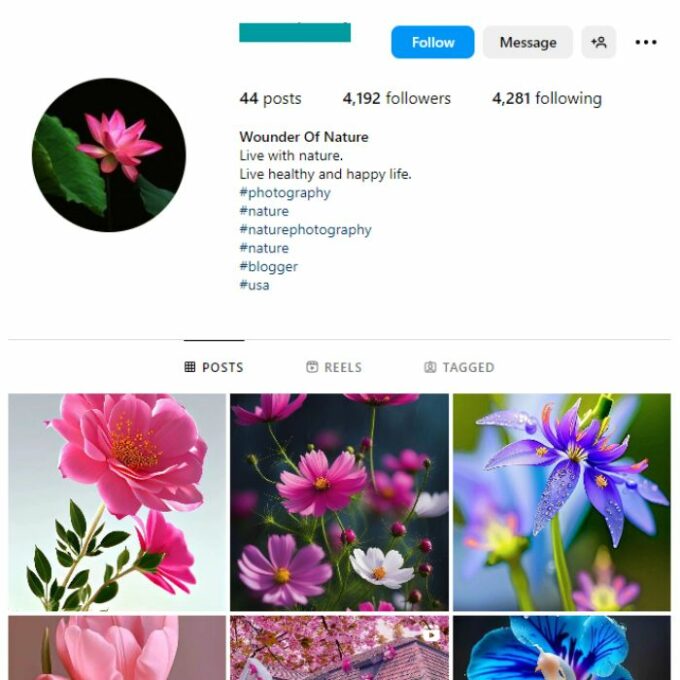 4K Plant Flowers Instagram Account for sale