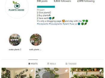 5K Interior Design Plants Instagram Account for sale