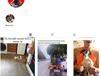 100K Dogs Pets Instagram Account for Sale