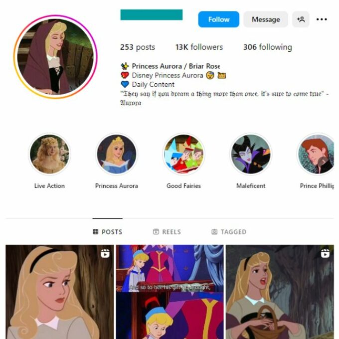 13K Disney Princess Aurora Instagram Account for sale