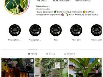 15K Plants Greenery Instagram Account for sale
