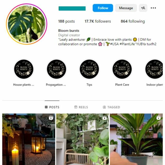 15K Plants Greenery Instagram Account for sale