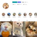 28K Cute Cats Instagram Account for Sale