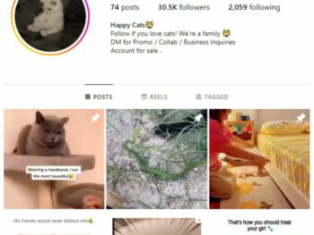 30K Pets Cats Animals Instagram Account for sale