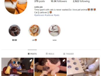 10K Cute Cats Instagram Account for sale