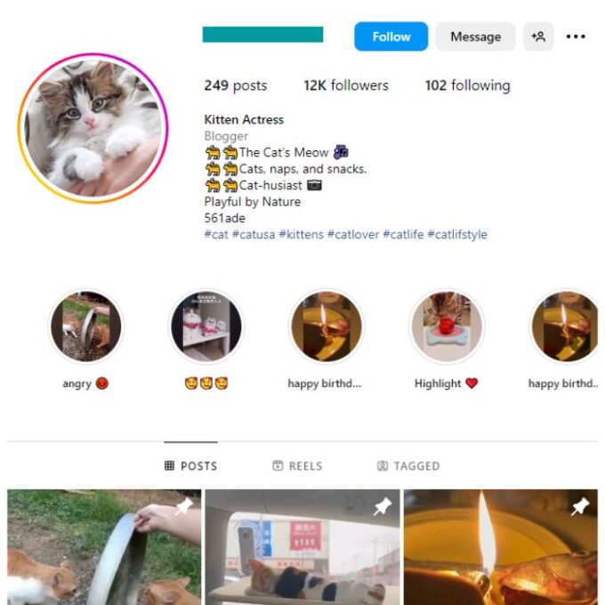 11K Cat Animals Instagram Account for sale