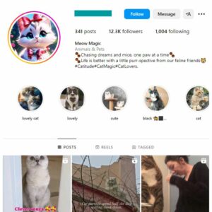 12K Cute Cats Instagram Account for sale