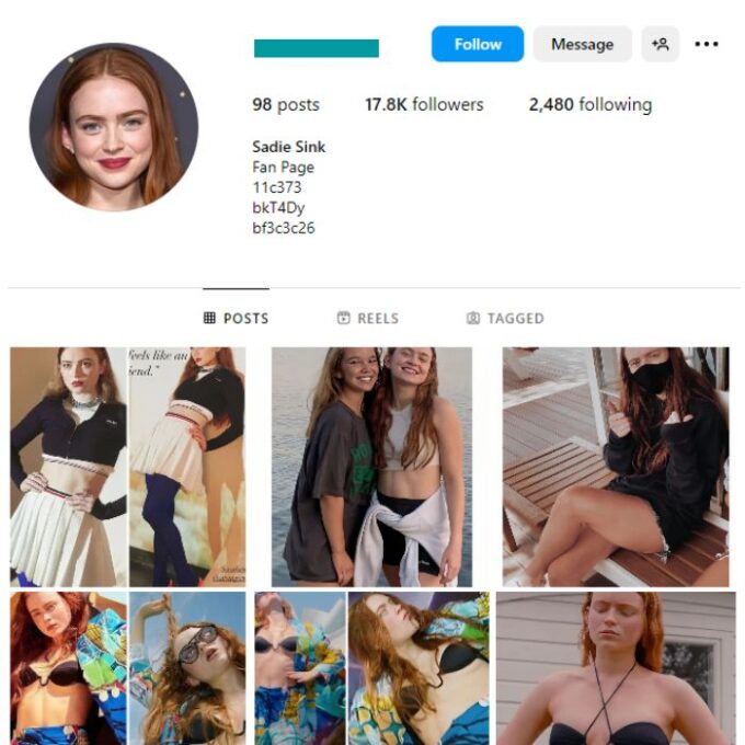 17K American Actress Fan Instagram Account for sale