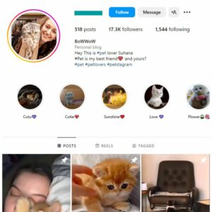 17K Cats Pets Instagram Account for sale