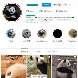 17K Panda Animals Instagram Account for sale