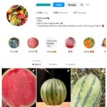 190K Fruits Plants Instagram Account for sale