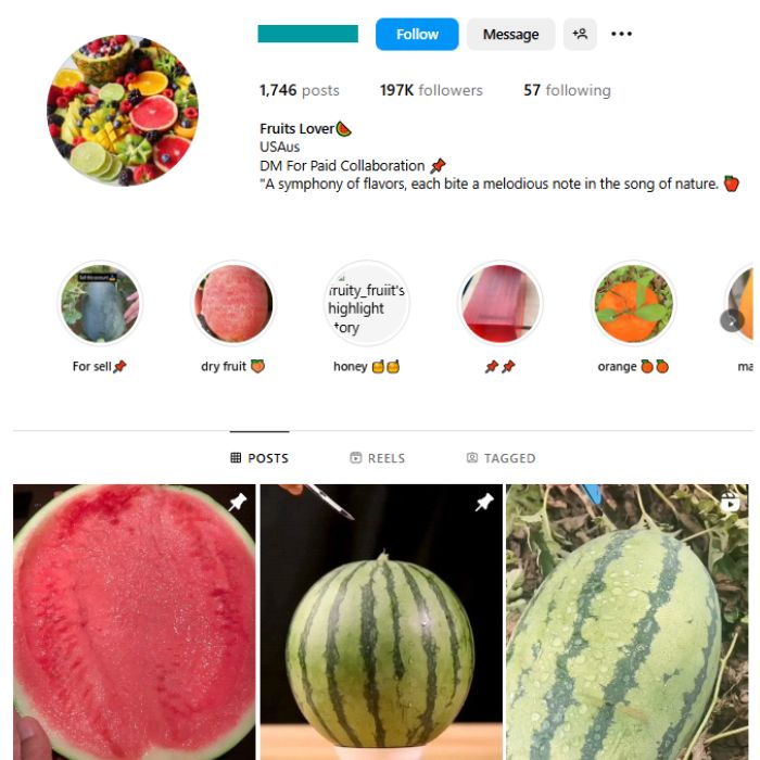 190K Fruits Plants Instagram Account for sale
