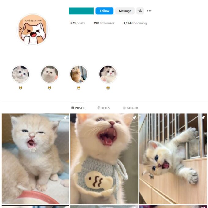 19K Cute Cats Instagram Account for Sale