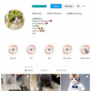 1K Cats Kittens Instagram Account for sale