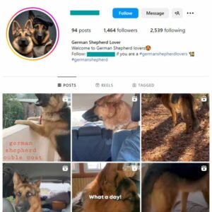 1K German Shepherd Dog Instagram Account for sale