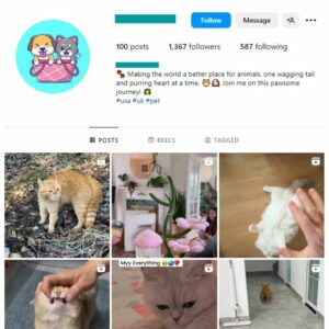 1K Pets Cats Animals Instagram Account for sale
