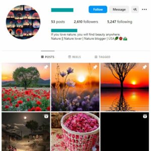 2K Flowers Nature Instagram Account for sale