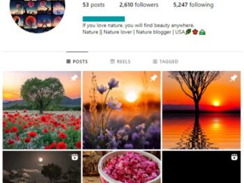 2K Flowers Nature Instagram Account for sale