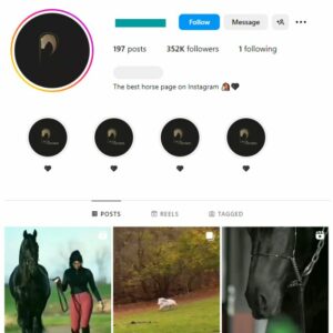 350K Horses Animals Instagram Account for sale