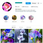 3K Beautiful Flowers Instagram Account for sale