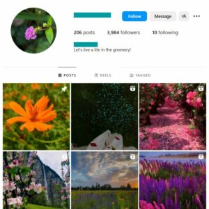 3K Flowers Photography Instagram Account for sale