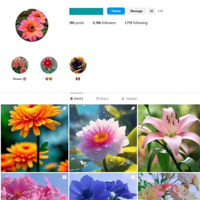 5K Beautiful Flowers Instagram Account for Sale