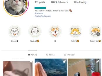 75K Cute Cats Instagram Account for sale