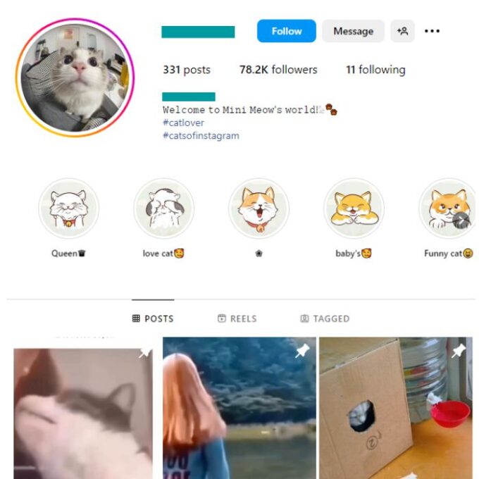 75K Cute Cats Instagram Account for sale