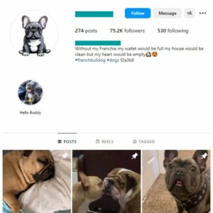 75K French Bull Dogs Instagram Account for sale