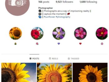 9K Flowers Photography Instagram Account for sale