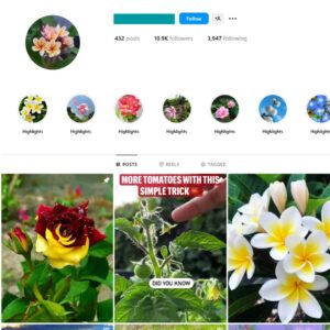 10K Flowers Nature Instagram Account for Sale