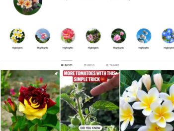 10K Flowers Nature Instagram Account for Sale