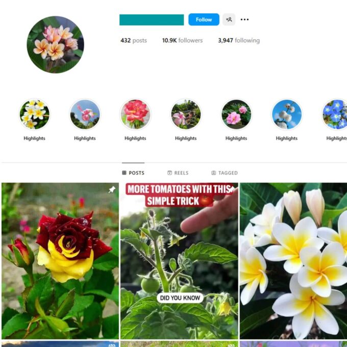 10K Flowers Nature Instagram Account for Sale