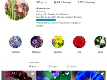 14K Nature Flowers Instagram Account for sale