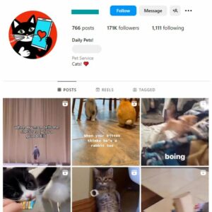 170K Pets Cats Instagram Account for sale