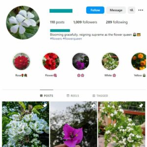 1K Flowers Greenery Instagram Account for sale