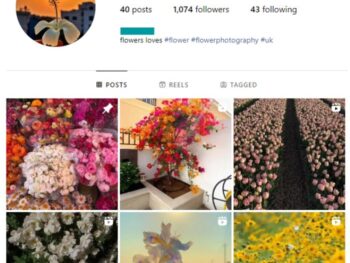 1K Flowers Landscape Instagram Account for sale