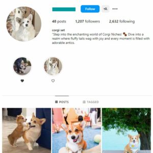 1K Pets Dogs Instagram Account for sale