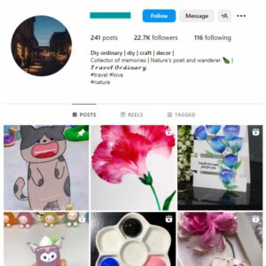 20K DIY Floral Art Instagram Account for sale