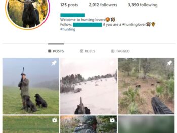 2K Animals Hunting Instagram Account for sale