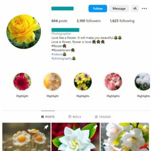 3K Flowers Garden Instagram Account for sale