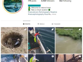 4K Animals Wildlife Instagram Account for sale