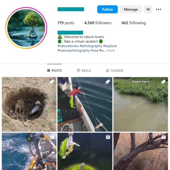 4K Animals Wildlife Instagram Account for sale