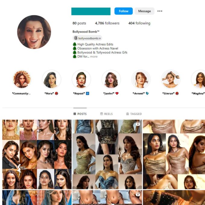 4K Bollywood Models Instagram Account for Sale